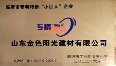 臨沂市專精特新“小巨人”企業(yè)